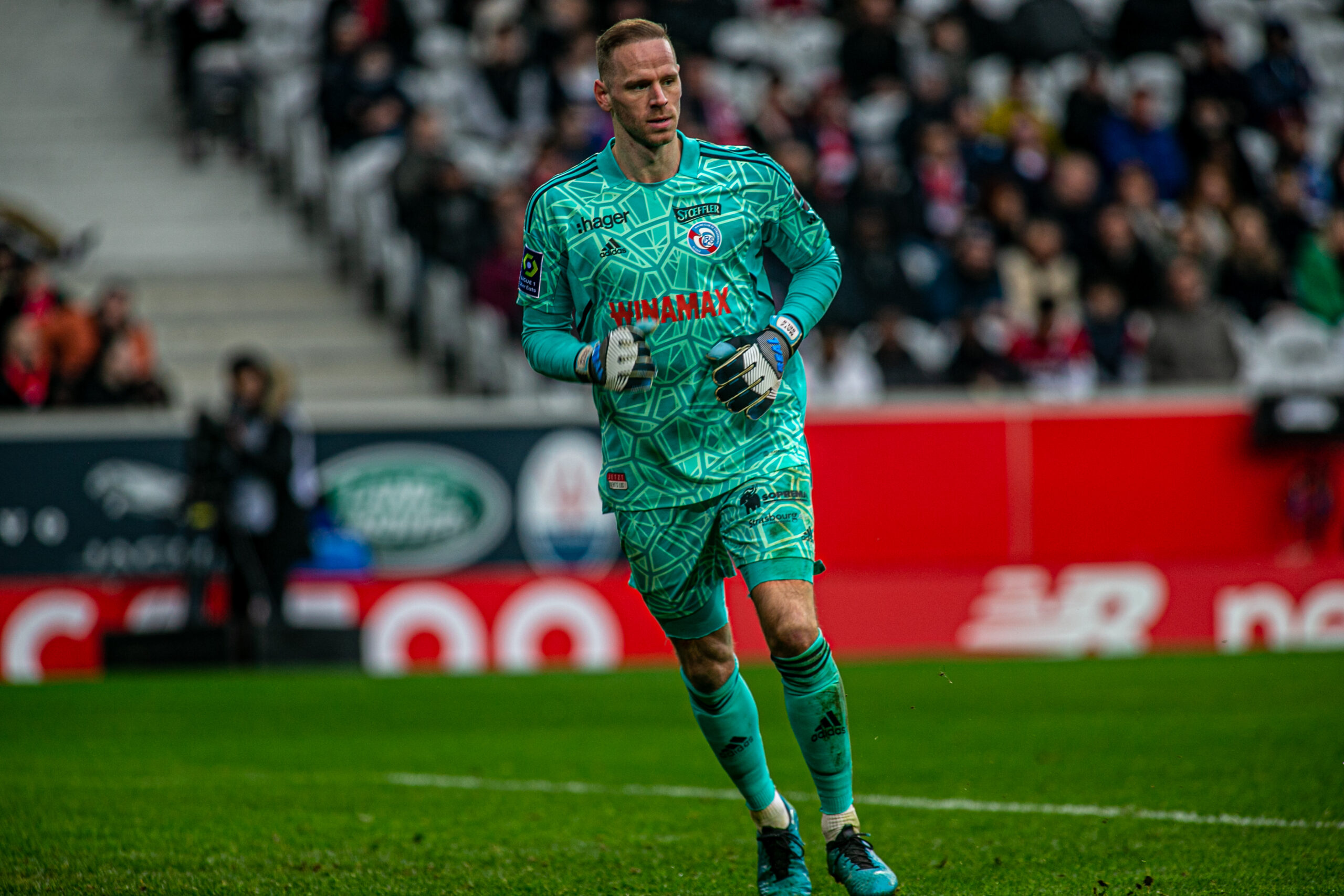 Matz Sels « On doit enchaîner les victoires » Alsa'Sports